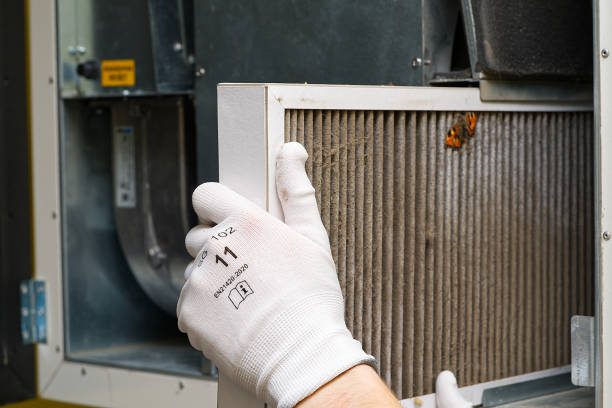 Best Local Air Duct Cleaning Services  in Bloomingdale, TN